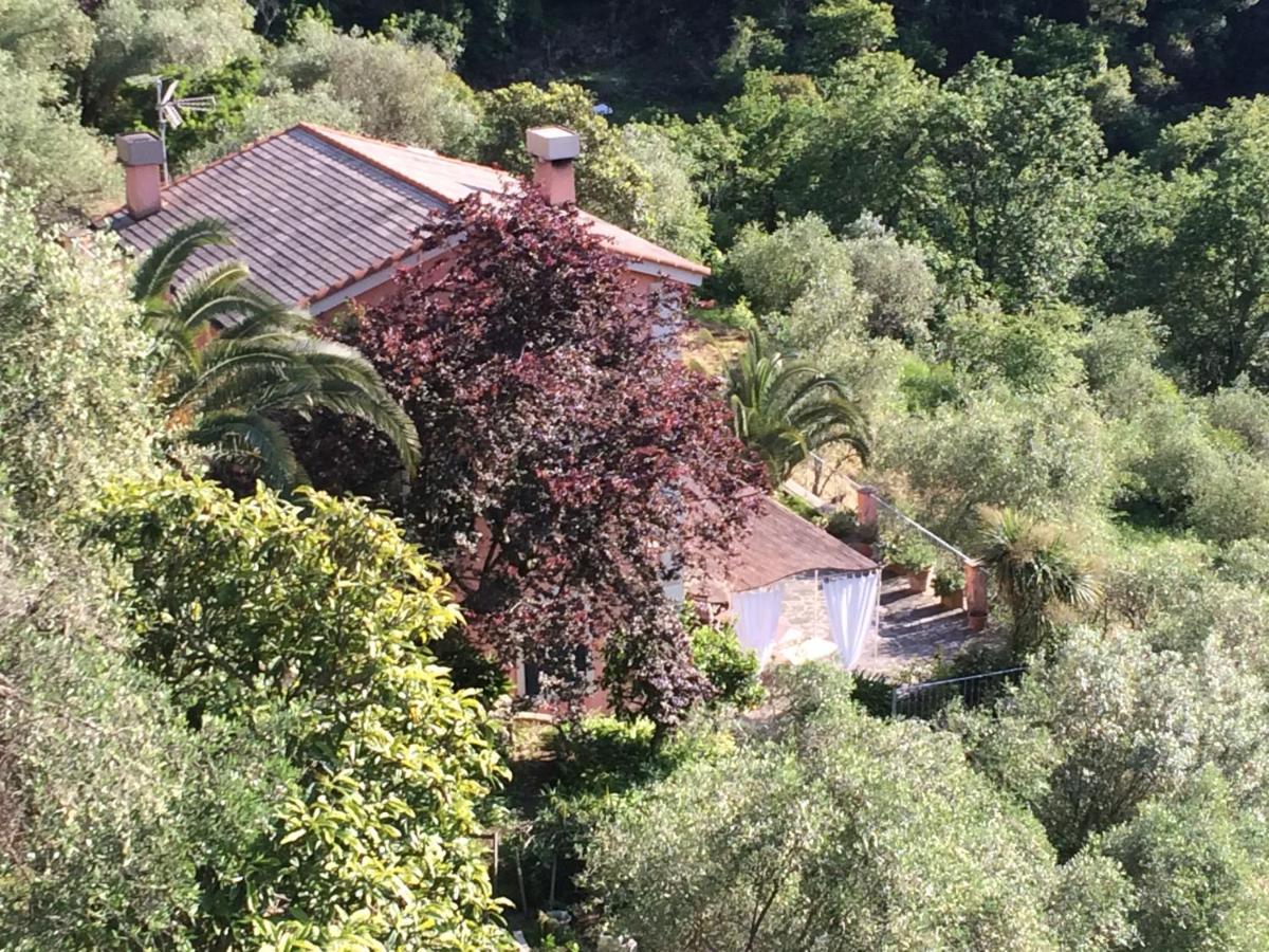 Villa Albachiara Камогли Екстериор снимка