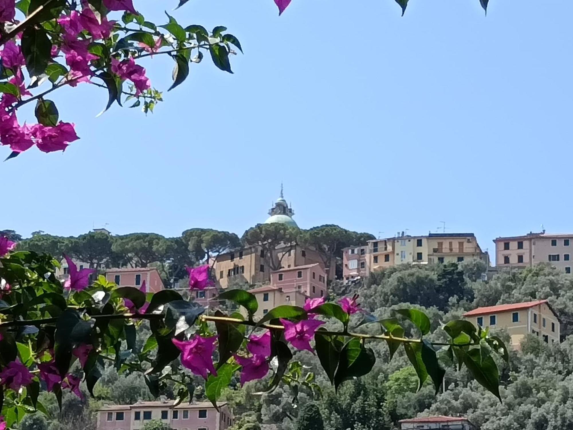 Villa Albachiara Камогли Екстериор снимка