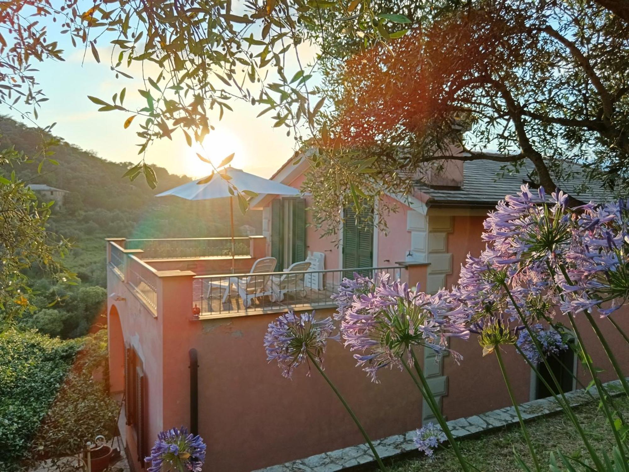Villa Albachiara Камогли Екстериор снимка