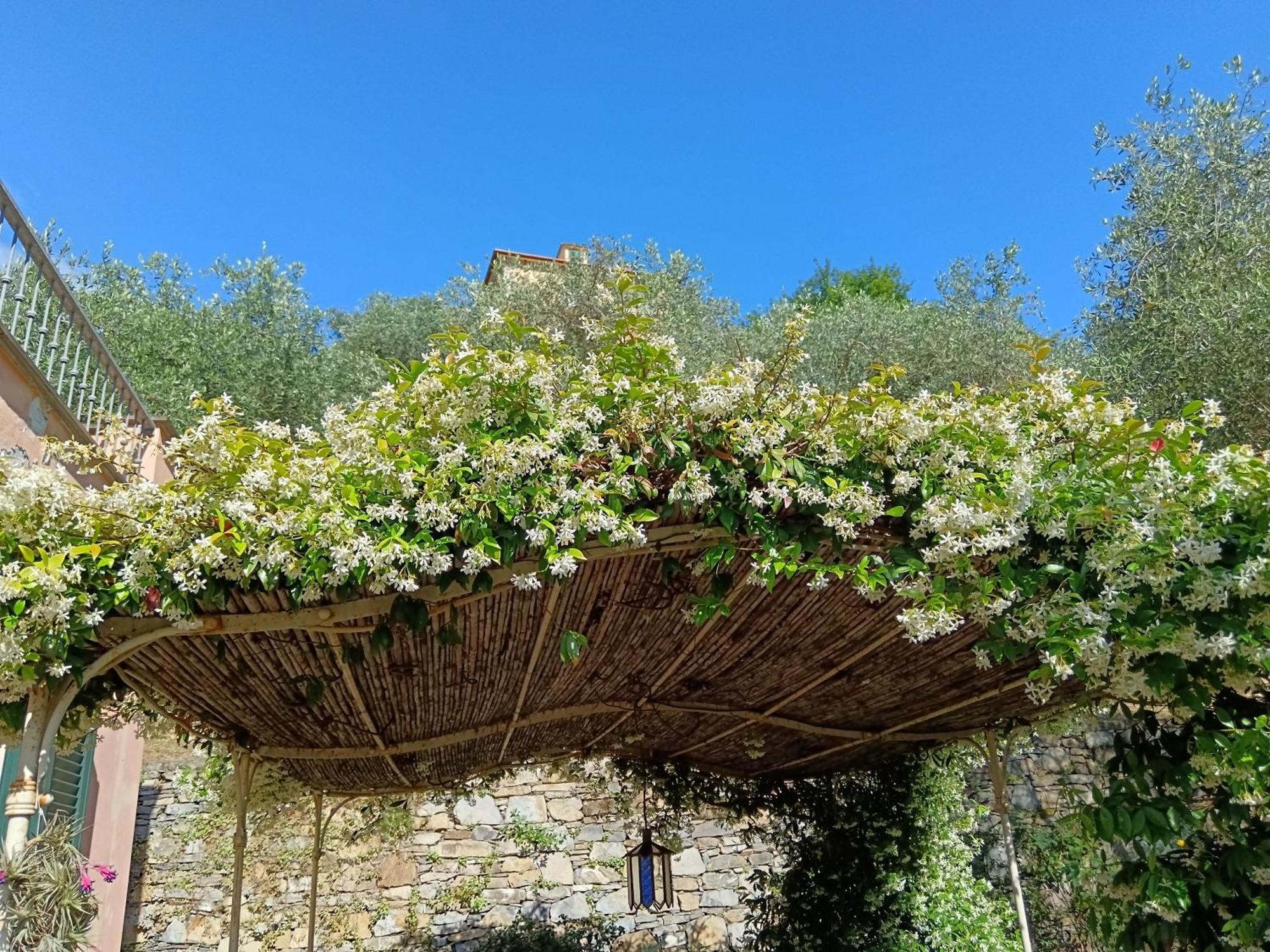 Villa Albachiara Камогли Екстериор снимка